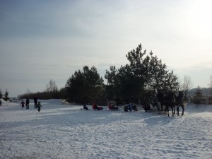 kulig018   